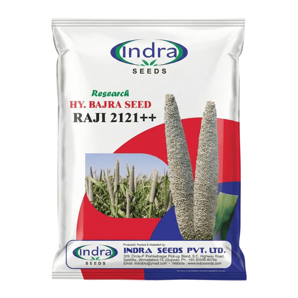 Raji 2121++